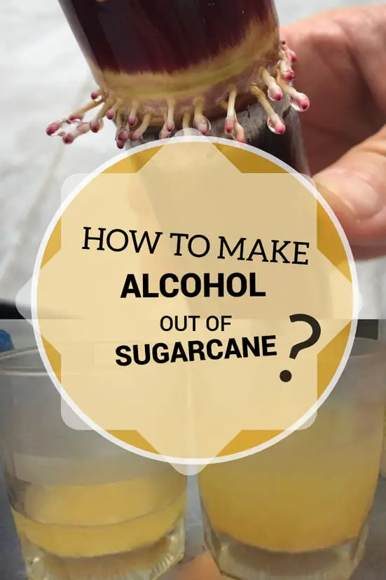 How To Make Alcohol Out Of Sugarcane